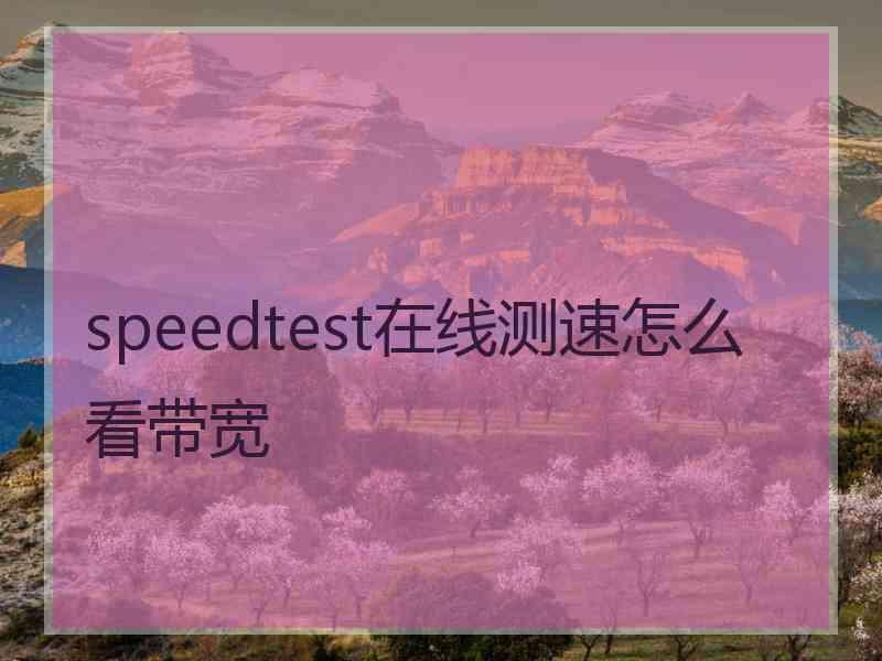 speedtest在线测速怎么看带宽