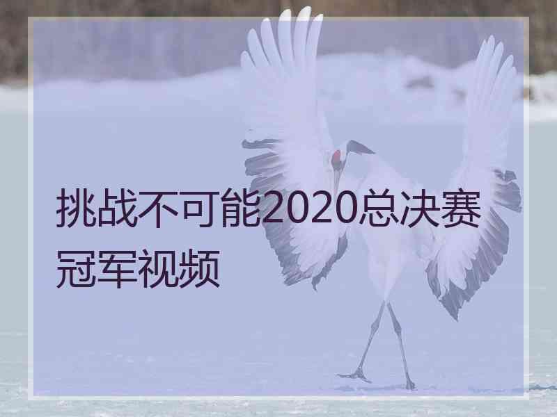 挑战不可能2020总决赛冠军视频