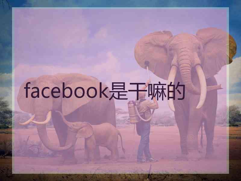 facebook是干嘛的