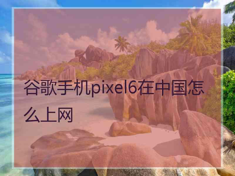 谷歌手机pixel6在中国怎么上网