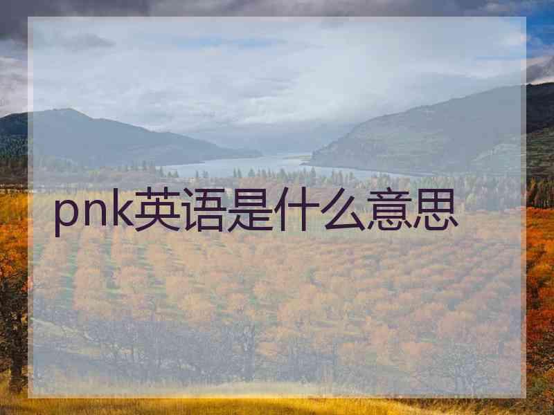 pnk英语是什么意思