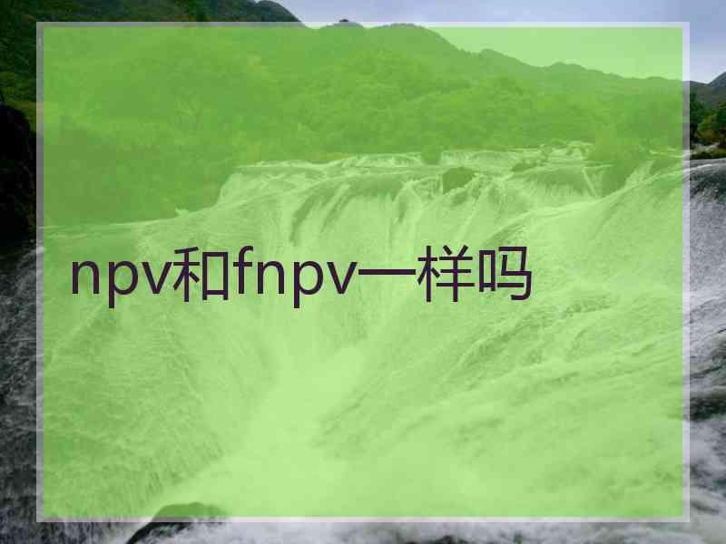 npv和fnpv一样吗