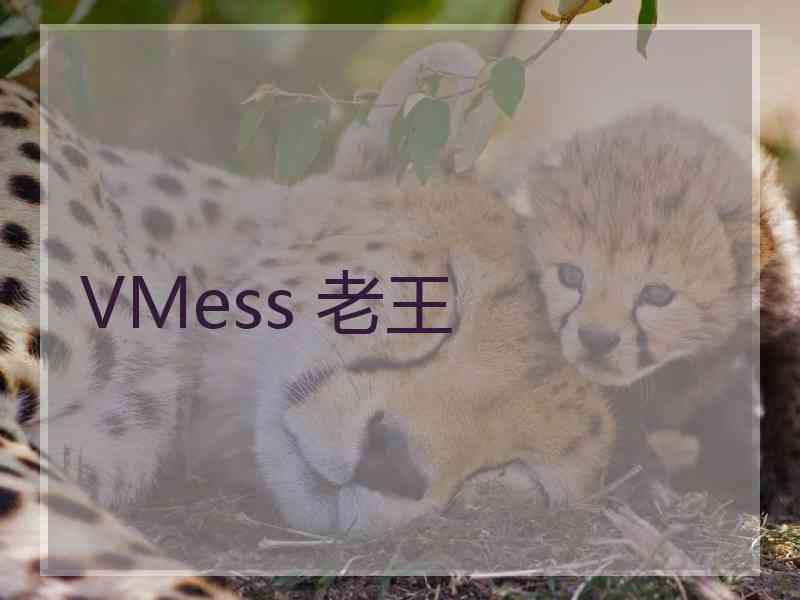 VMess 老王