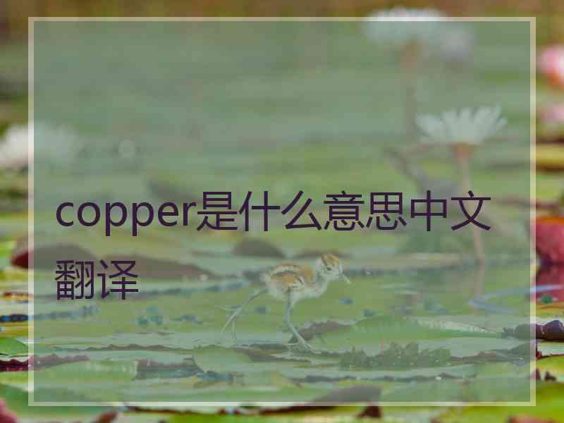 copper是什么意思中文翻译