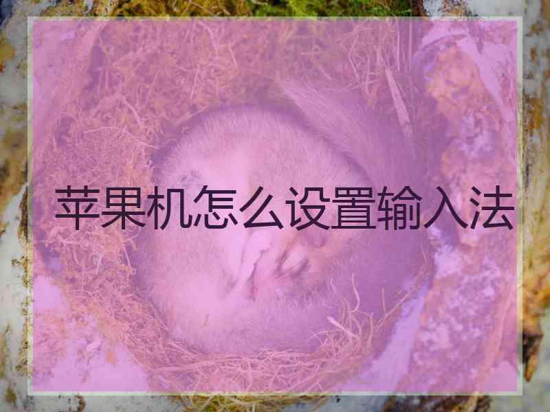 苹果机怎么设置输入法