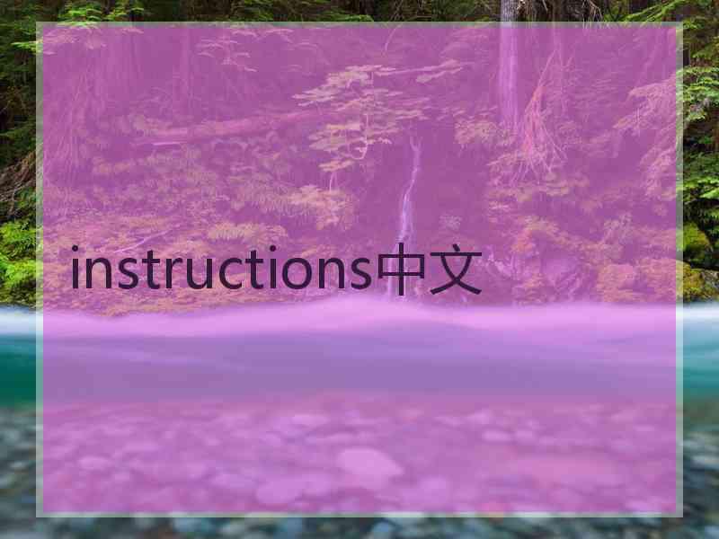 instructions中文