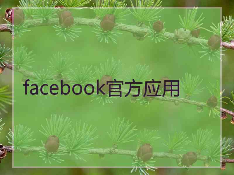 facebook官方应用