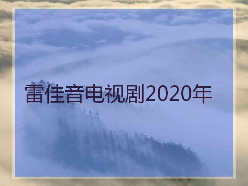 雷佳音电视剧2020年