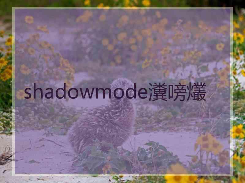 shadowmode瀵嗙爜