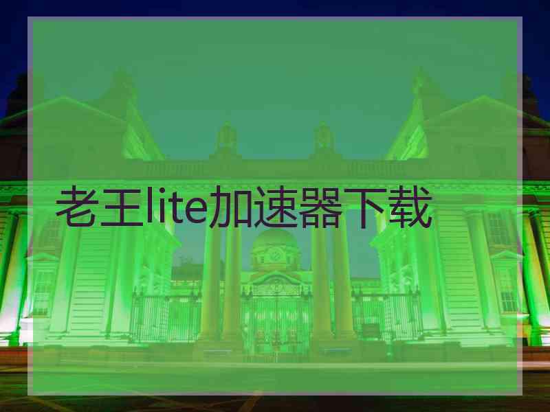 老王lite加速器下载