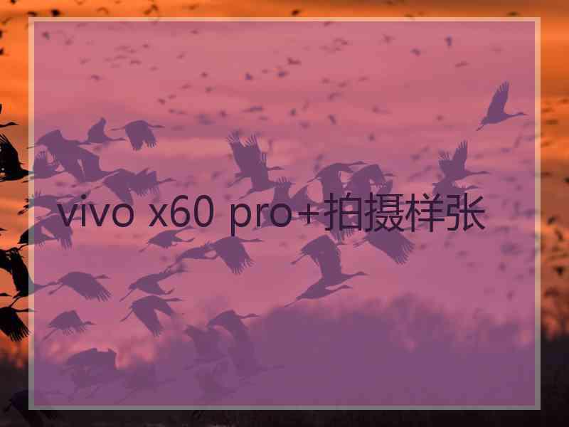 vivo x60 pro+拍摄样张