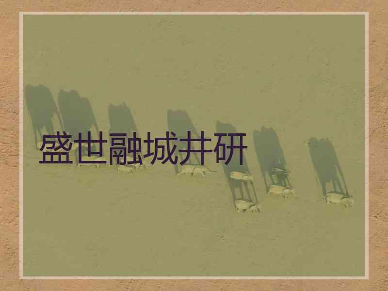 盛世融城井研