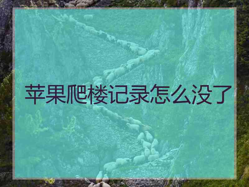 苹果爬楼记录怎么没了