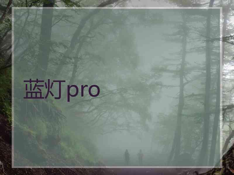 蓝灯pro