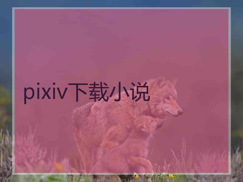 pixiv下载小说