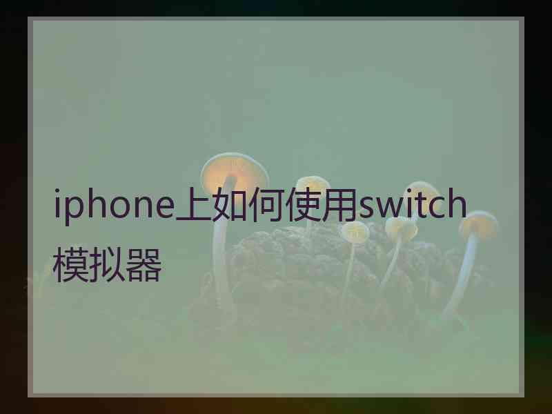 iphone上如何使用switch模拟器