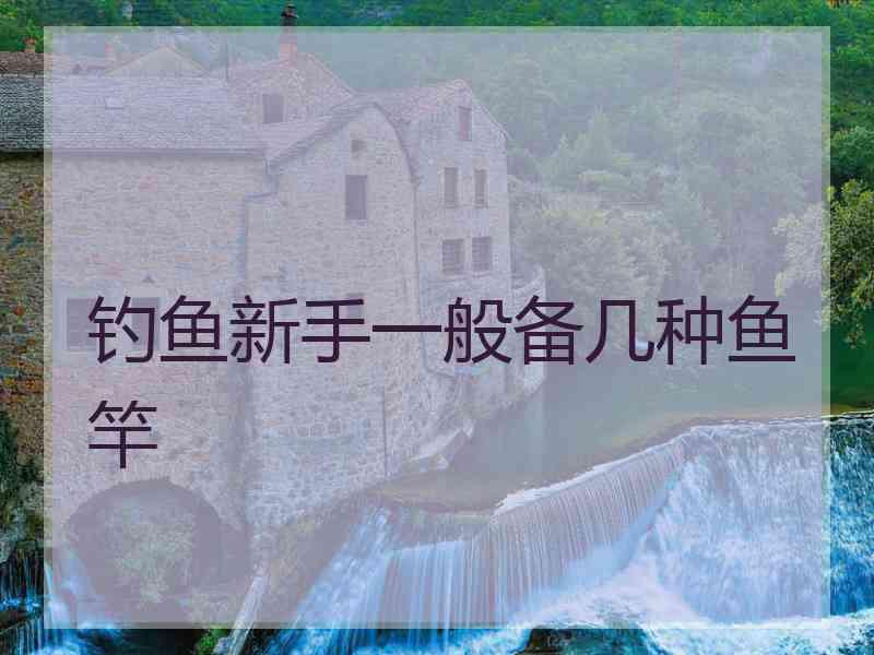 钓鱼新手一般备几种鱼竿