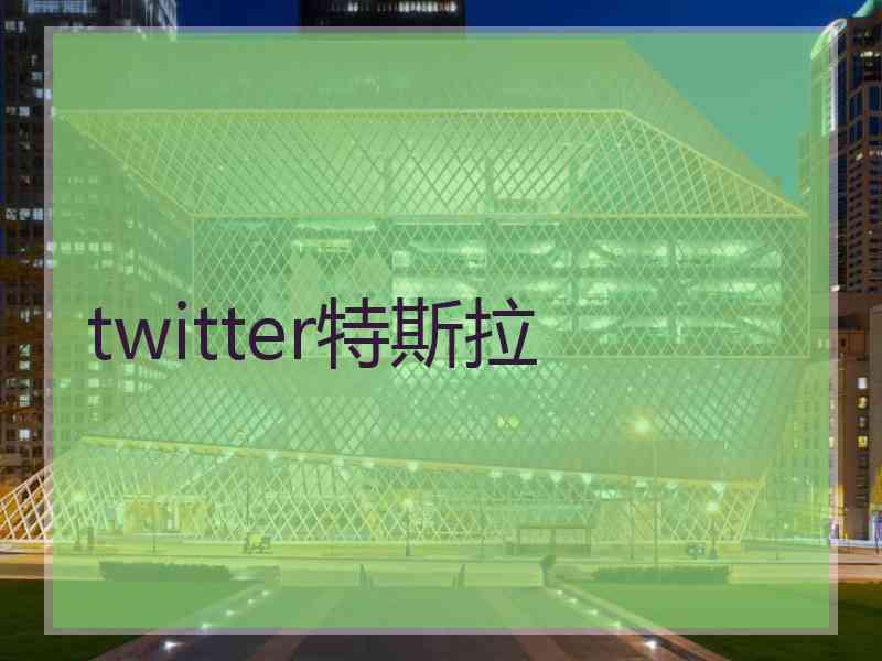 twitter特斯拉