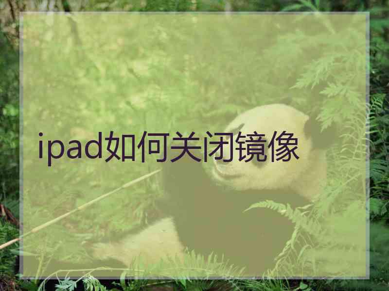 ipad如何关闭镜像