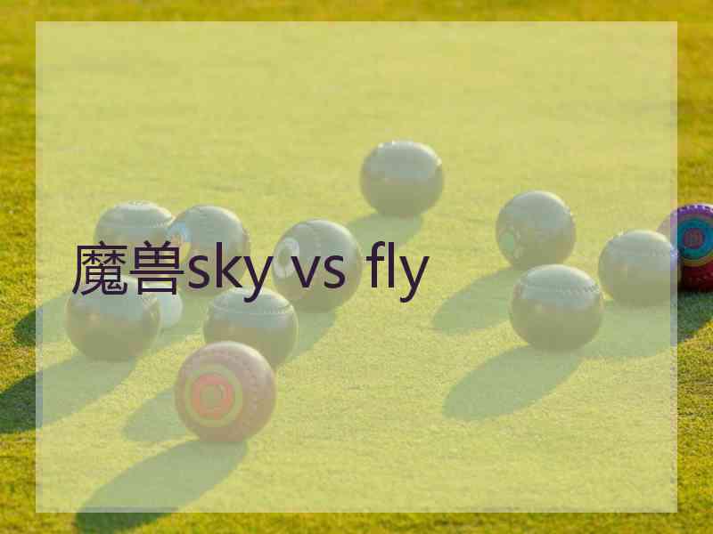 魔兽sky vs fly