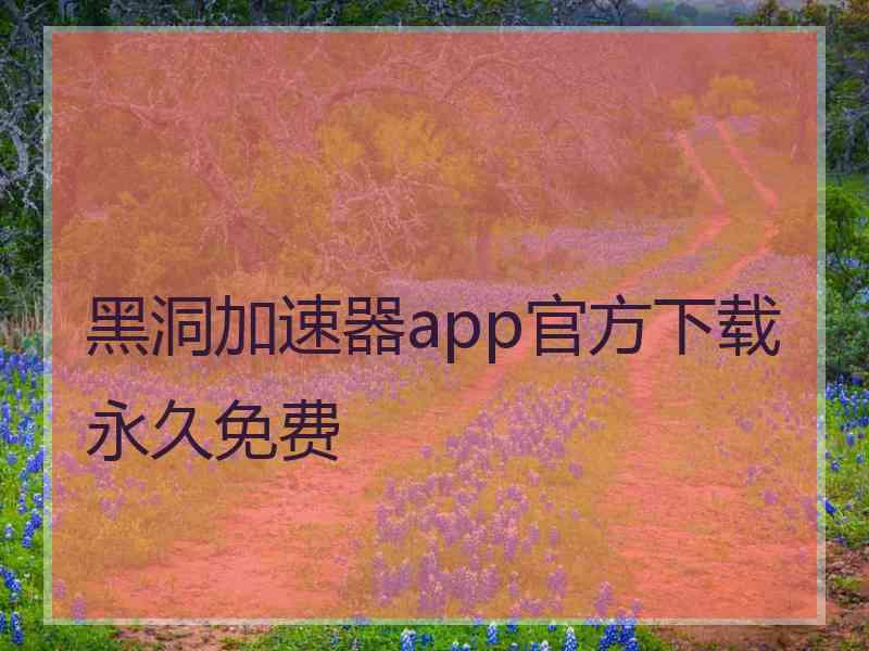 黑洞加速器app官方下载永久免费