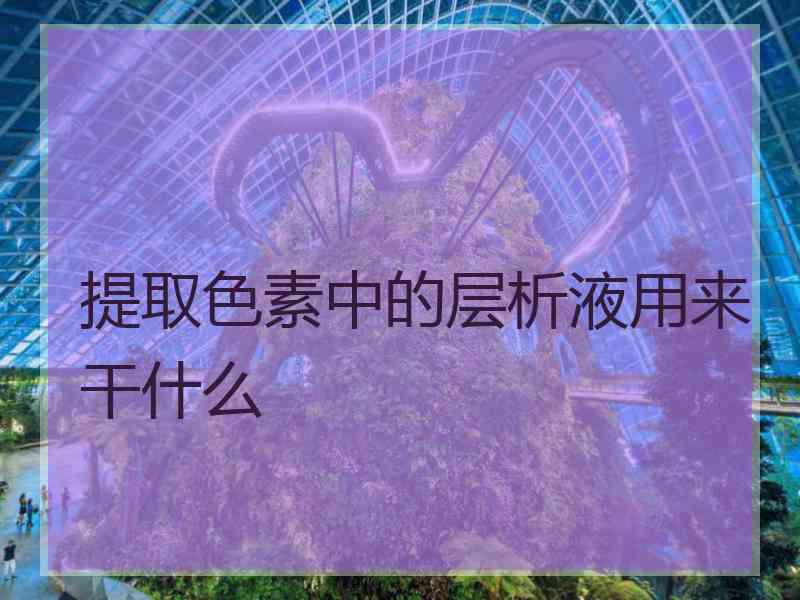 提取色素中的层析液用来干什么