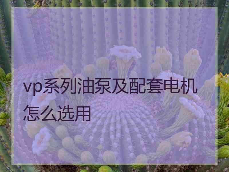 vp系列油泵及配套电机怎么选用