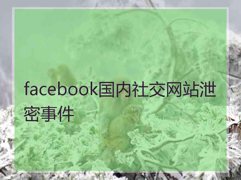 facebook国内社交网站泄密事件