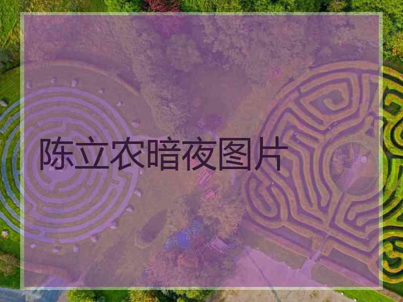陈立农暗夜图片