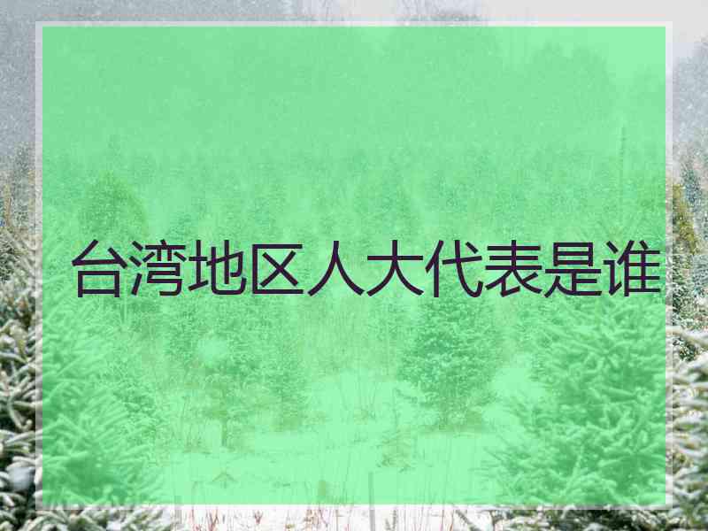 台湾地区人大代表是谁