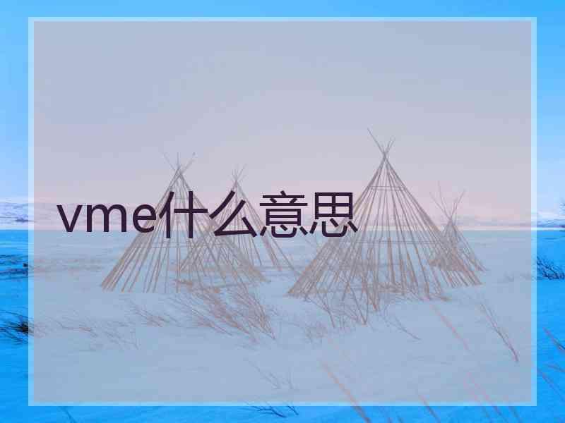 vme什么意思