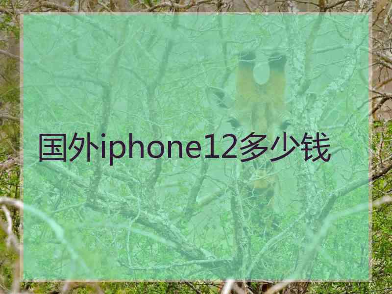 国外iphone12多少钱