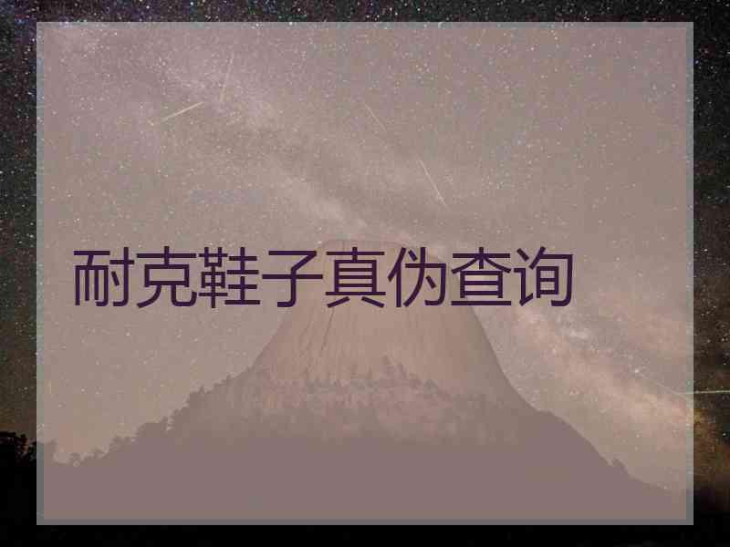 耐克鞋子真伪查询