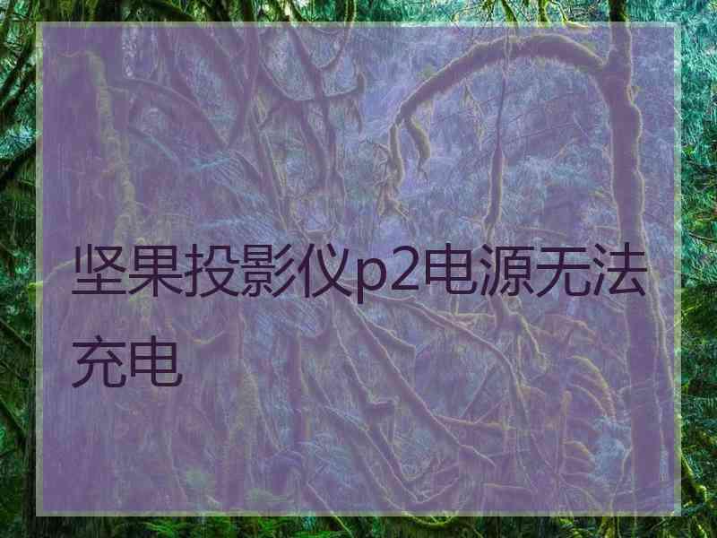 坚果投影仪p2电源无法充电