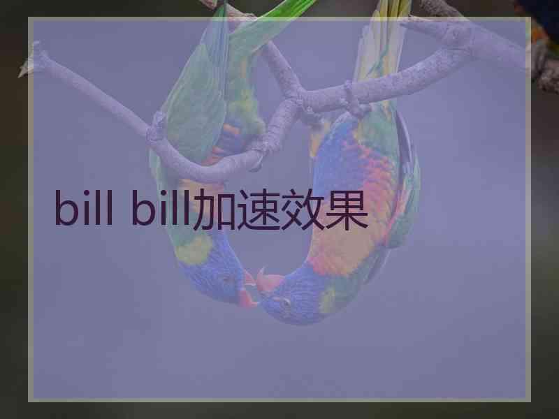 bill bill加速效果