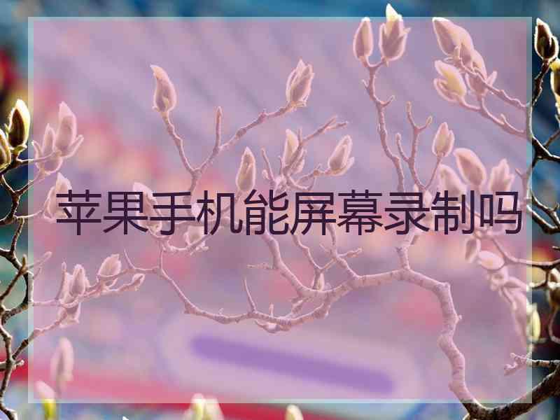 苹果手机能屏幕录制吗