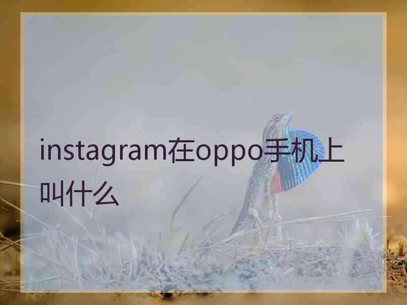 instagram在oppo手机上叫什么