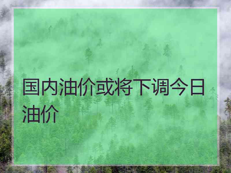 国内油价或将下调今日油价