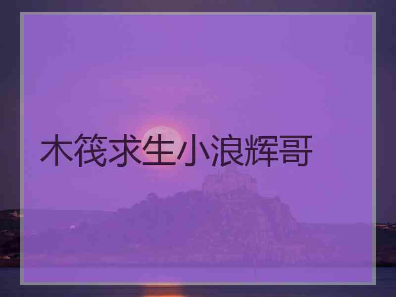 木筏求生小浪辉哥