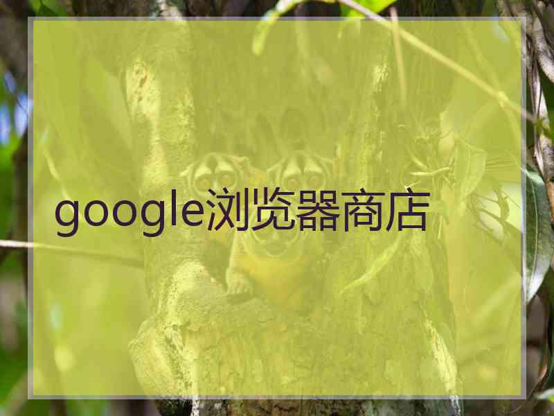 google浏览器商店