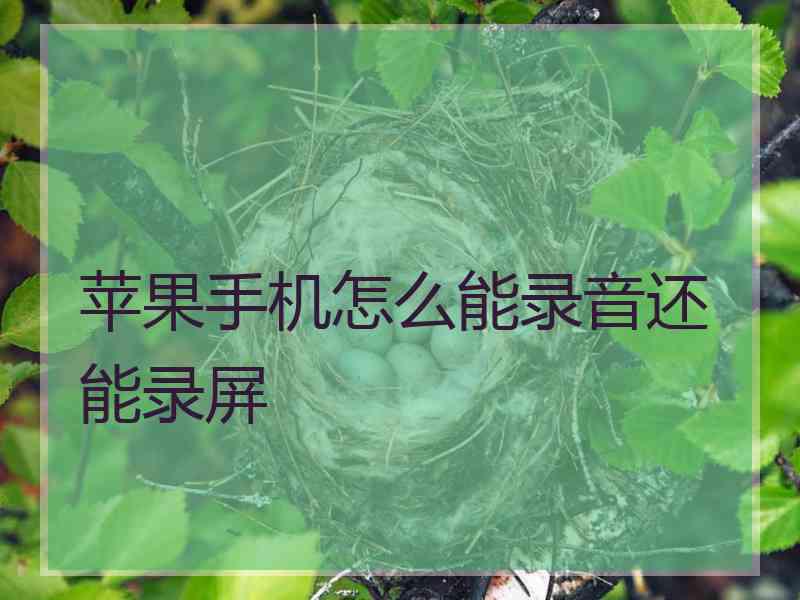 苹果手机怎么能录音还能录屏