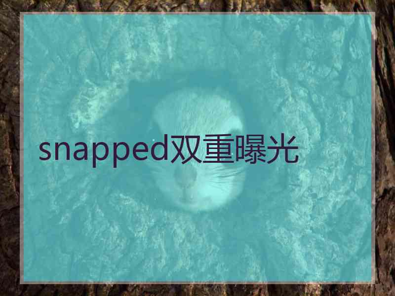 snapped双重曝光