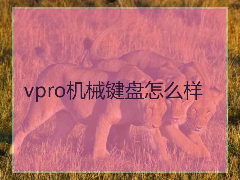 vpro机械键盘怎么样