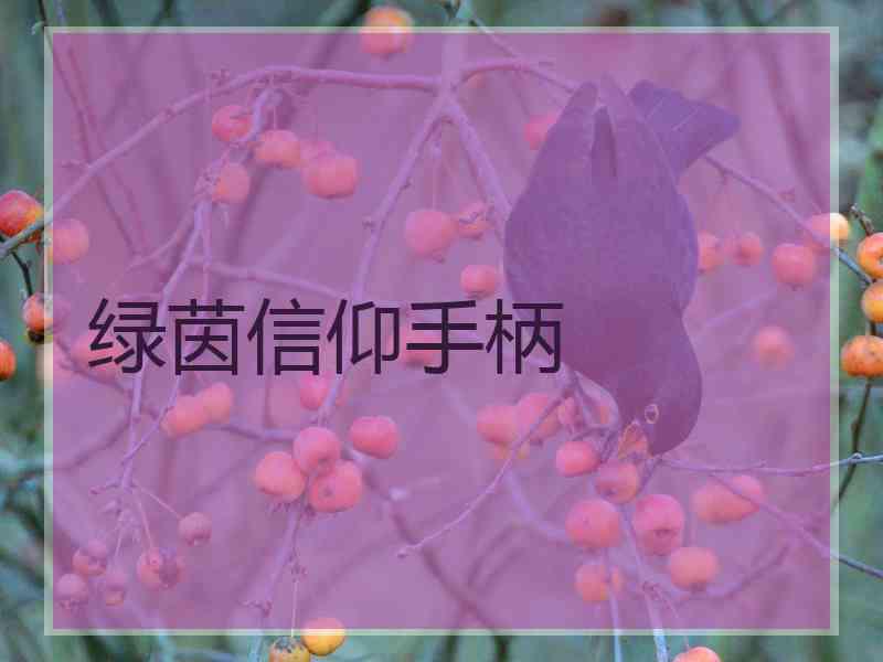 绿茵信仰手柄