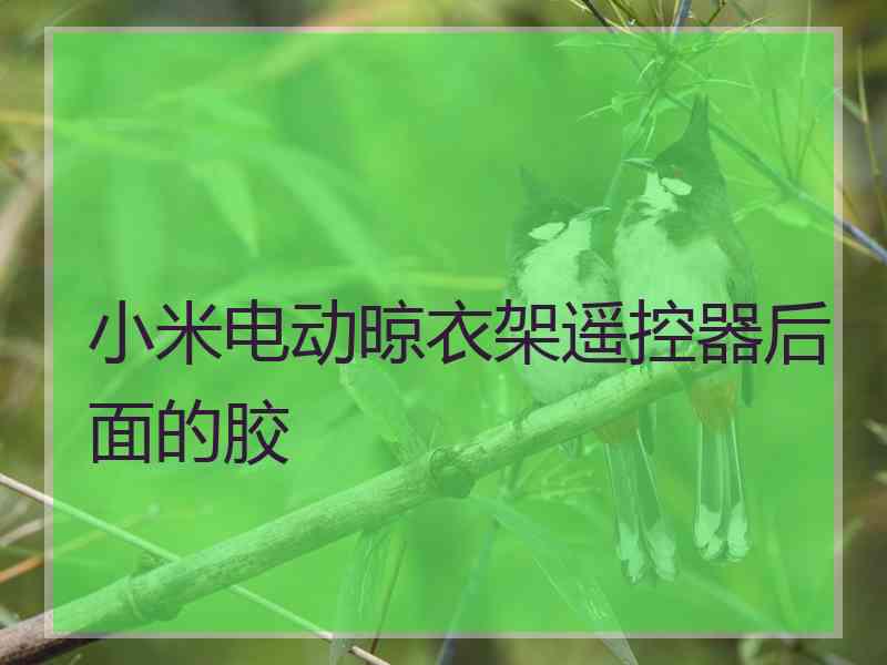 小米电动晾衣架遥控器后面的胶