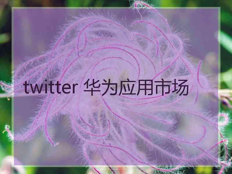 twitter 华为应用市场