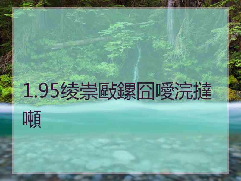 1.95绫崇敺鏍囧噯浣撻噸