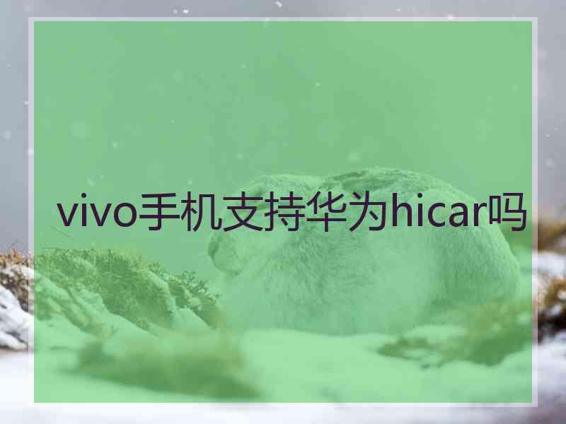 vivo手机支持华为hicar吗