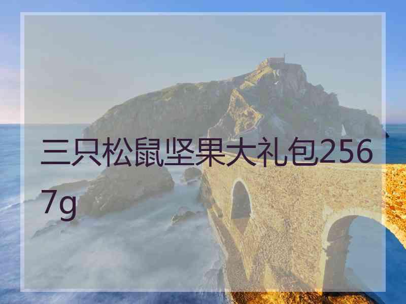 三只松鼠坚果大礼包2567g