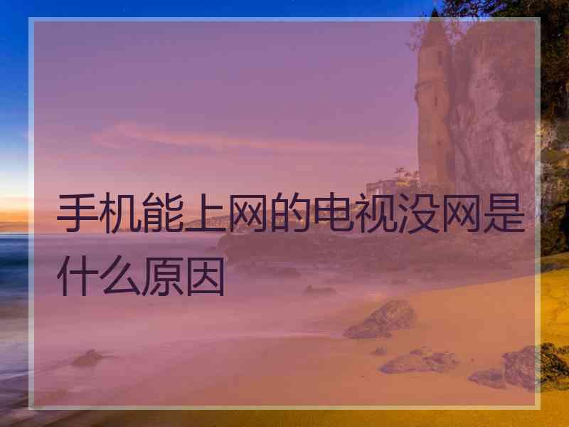 手机能上网的电视没网是什么原因